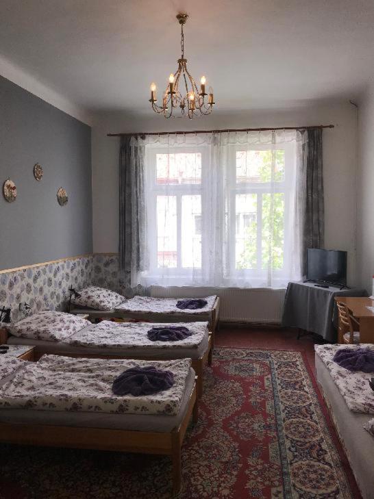 Penzion Rajf Krnov Exterior foto
